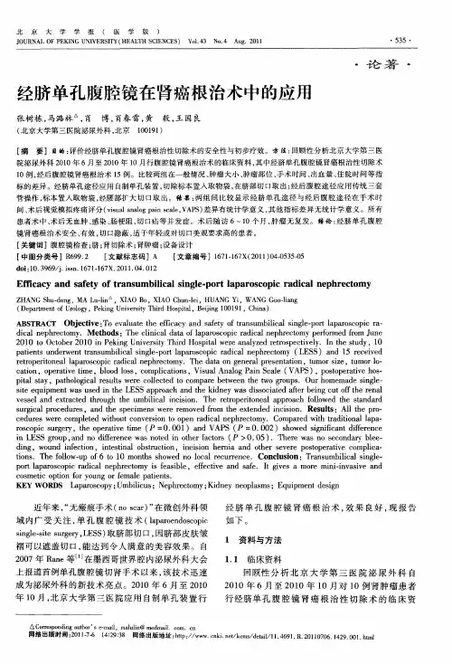 经脐单孔腹腔镜在肾癌根治术中的应用