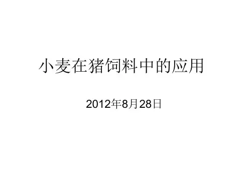 小麦在饲料中应用