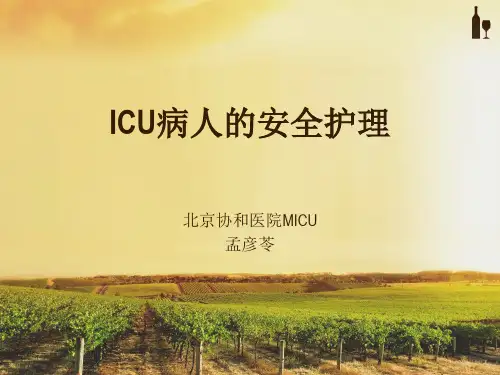 ICU病人的安全护理-- PPT课件