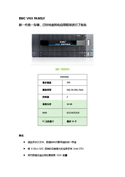 EMC vnx5500产品介绍word版
