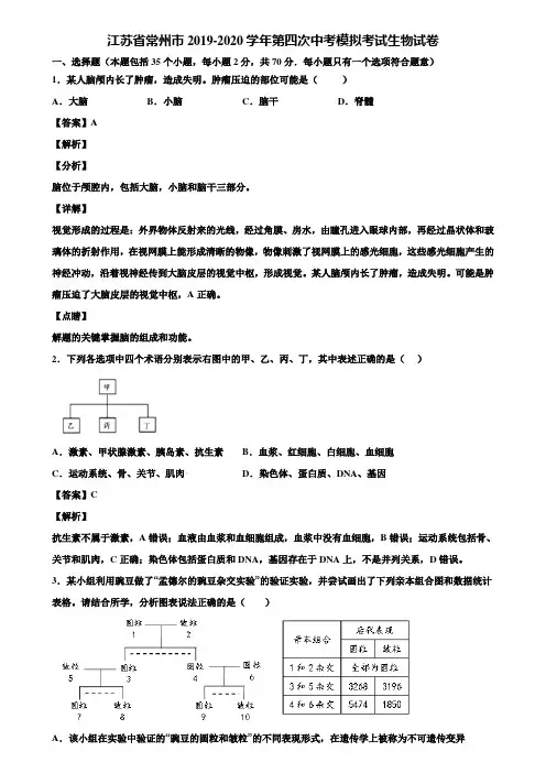 江苏省常州市2019-2020学年第四次中考模拟考试生物试卷含解析