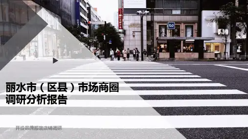 丽水市(区县)市场商圈调研分析报告