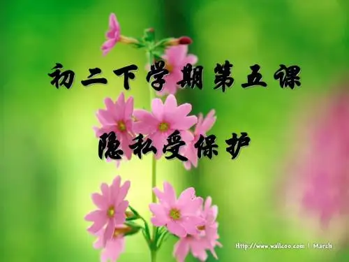 第五课 隐私受保护12