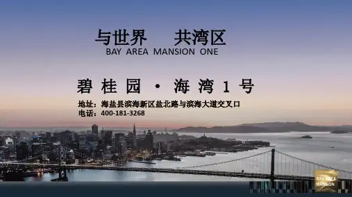 碧桂园·海湾1号项目简介