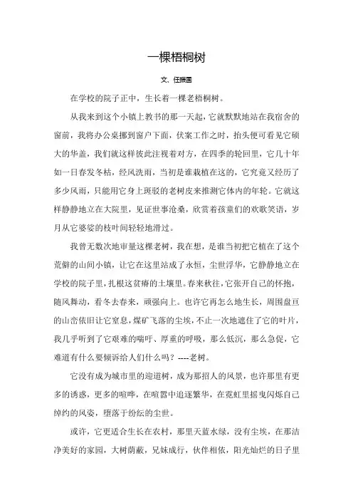 一棵梧桐树