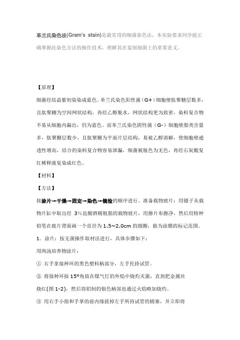 革兰氏染色法
