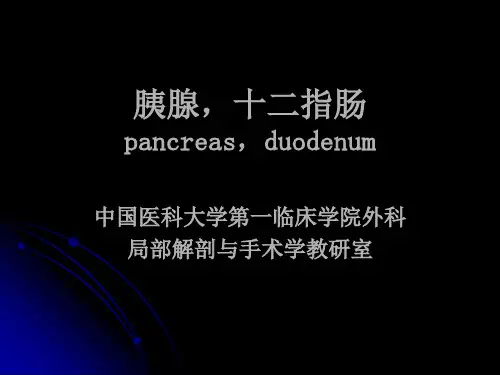 胰腺及十二指肠解剖