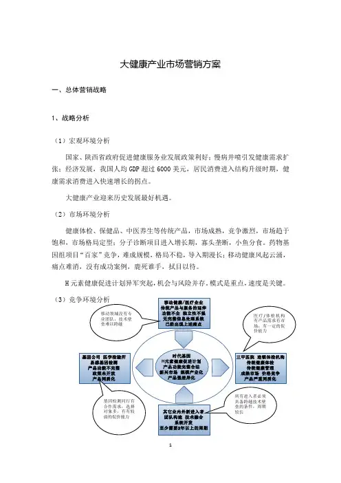 大健康市场营销策划方案