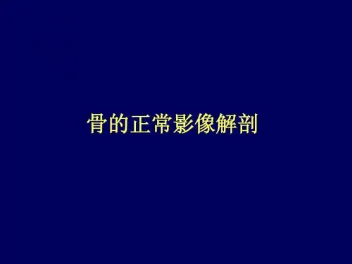 骨的正常影像解剖1.ppt 2