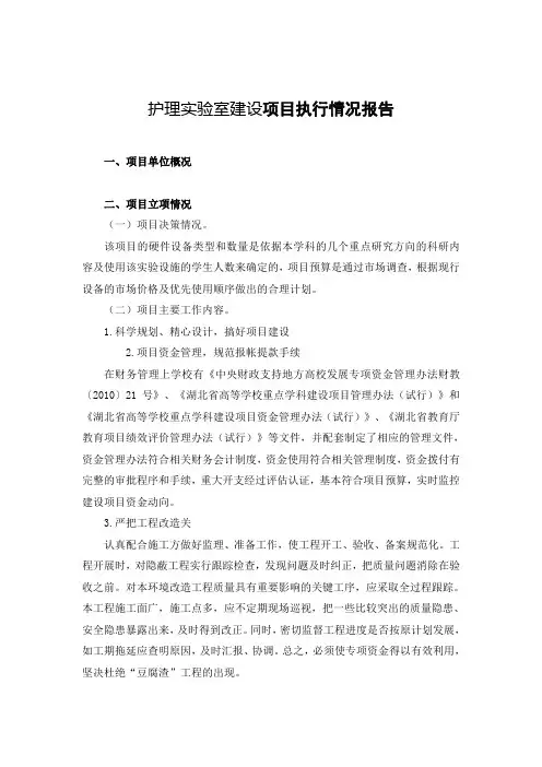 项目执行情况报告