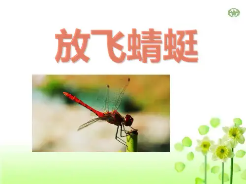 《放飞蜻蜓》ppt课件