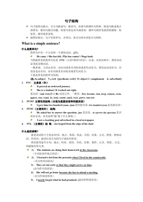 句子结构讲义word版