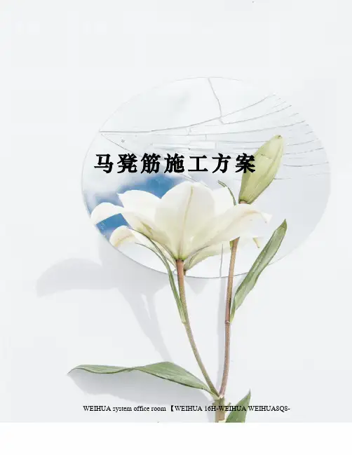 马凳筋施工方案修订稿