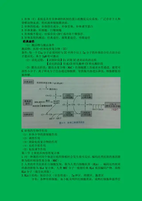 免疫学基础与病原生物学重点总结