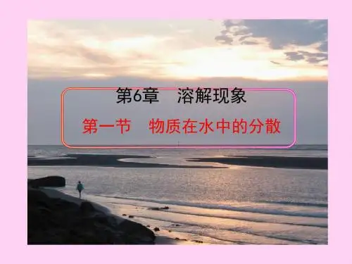 物质在水中的扩散PPT课件 沪教版