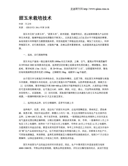 甜玉米栽培技术