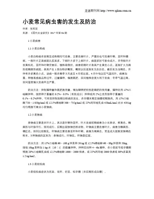 小麦常见病虫害的发生及防治