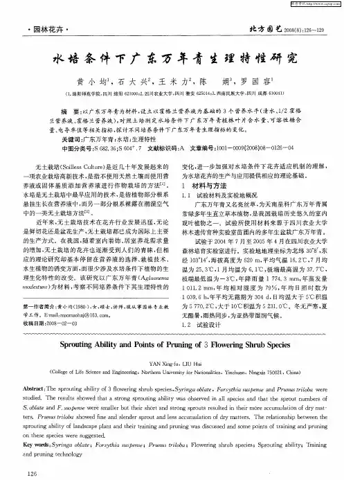 水培条件下广东万年青生理特性研究