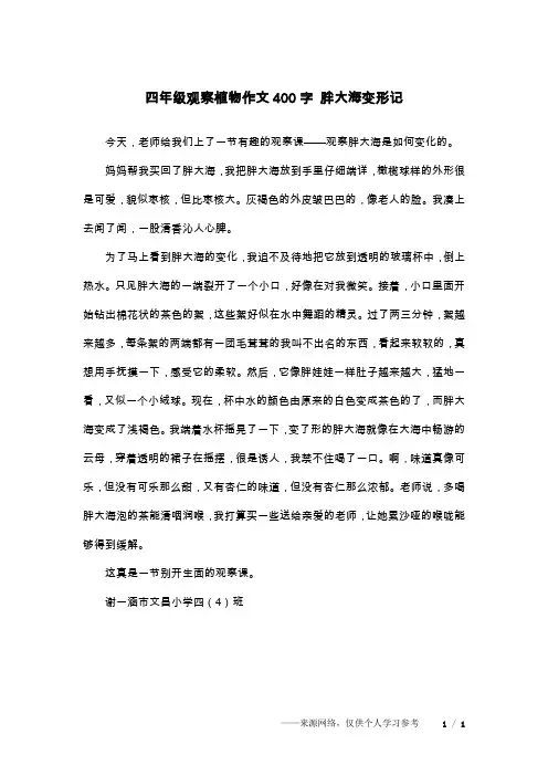 四年级观察植物作文400字 胖大海变形记