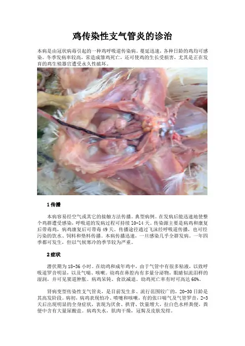 鸡传染性支气管炎的诊治