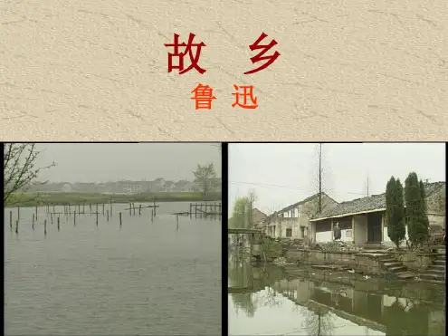 《故乡》课件