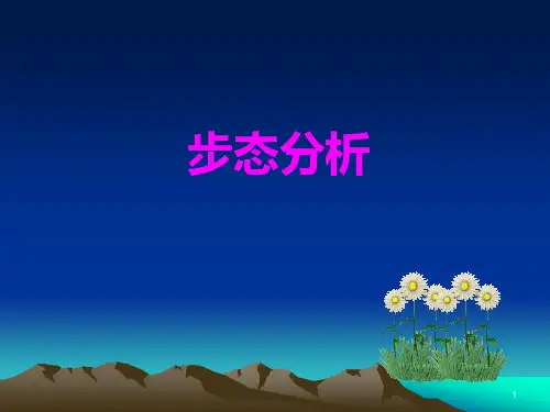 步态分析