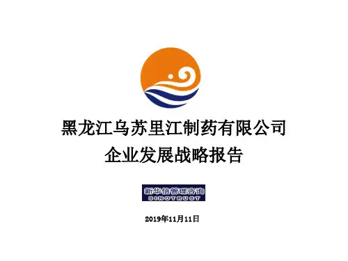 企业发展战略报告(ppt 144页)