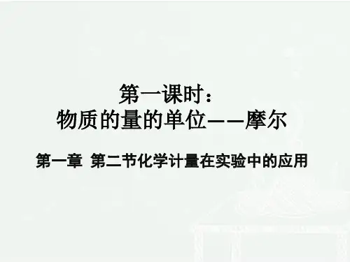 化学必修1物质的量(最新课件ppt)