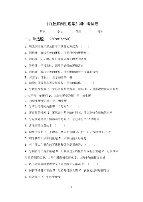 牙体解剖学测验试卷