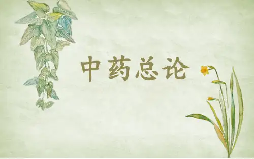 中药总论