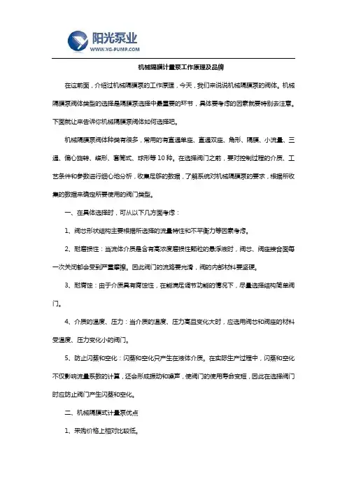 机械隔膜计量泵工作原理及品牌