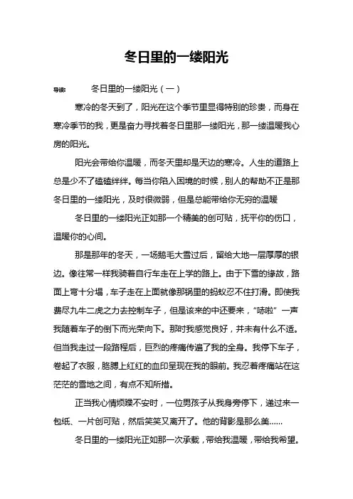 冬日里的一缕阳光