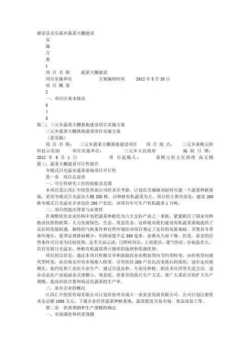 蔬菜大棚实施方案