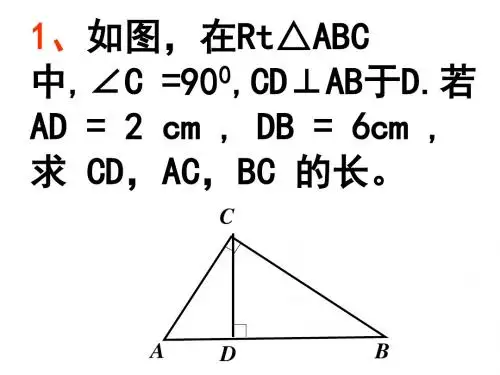 中考数学复习射影定理[人教版]