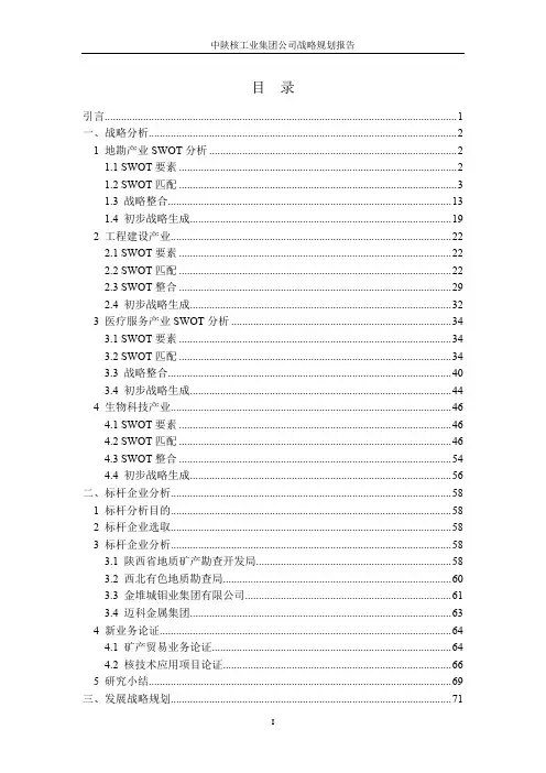 集团公司战略规划报告