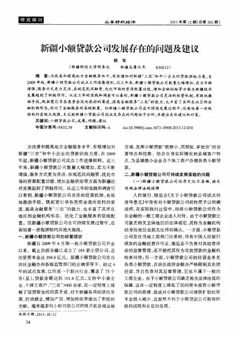 新疆小额贷款公司发展存在的问题及建议