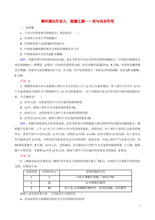 高考生物一轮复习 课时强化作业 第三单元 细胞的能量供应和利用 专题 能量之源-光与光合作用讲解