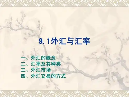 外汇与汇率