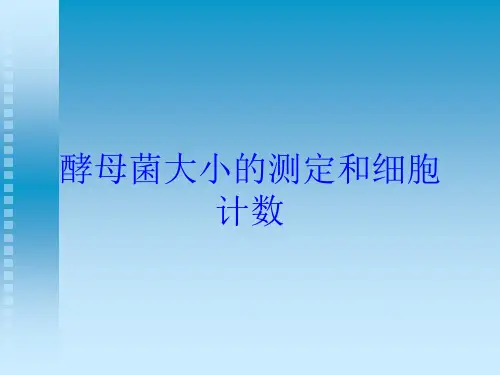 酵母菌大小的测定和细胞计数培训课件