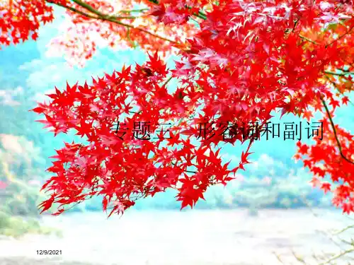 高考英语大二轮复习第一部分语篇填空和短文改错3形容词和副词课件