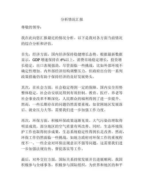 分析情况汇报