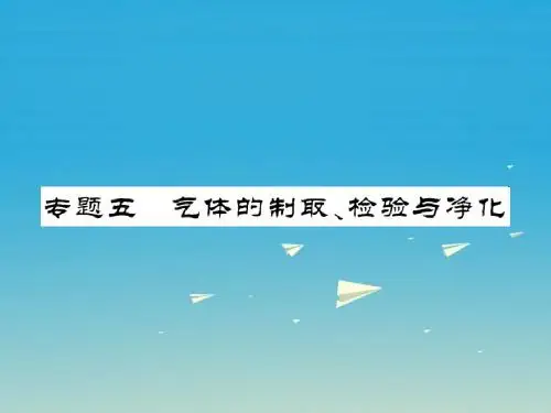 中考新航线贵州专版2017年中考化学第二轮复习专题训练提高能力专题五气体的制取检验与净化教学课件