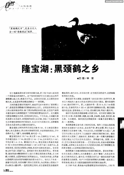 隆宝湖：黑颈鹤之乡