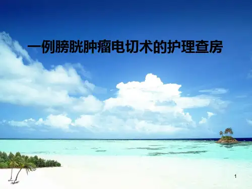 一例膀胱肿瘤电切术的护理查房PPT演示课件