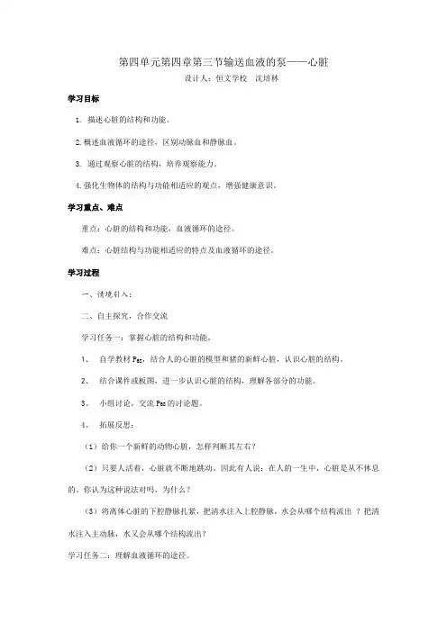 七年级生物下册第四章第三节心脏学案教案