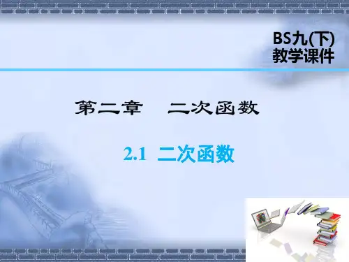 北师大版数学九年级下册2.1 二次函数