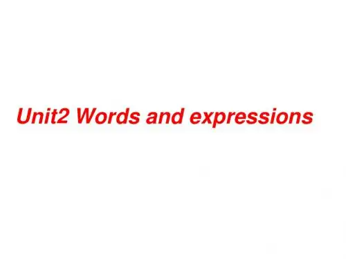 U2 Words and expressions