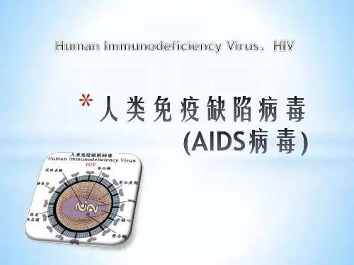 艾滋病毒PPT