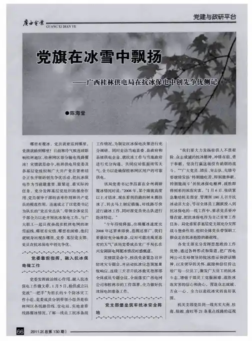 党旗在冰雪中飘扬——广西桂林供电局在抗冰保电中创先争优侧记