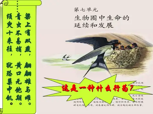 人教版生物八年级下册1.1《植物的生殖》课件 (共40张PPT)